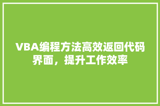 VBA编程方法高效返回代码界面，提升工作效率