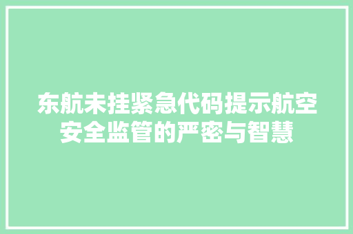 东航未挂紧急代码提示航空安全监管的严密与智慧