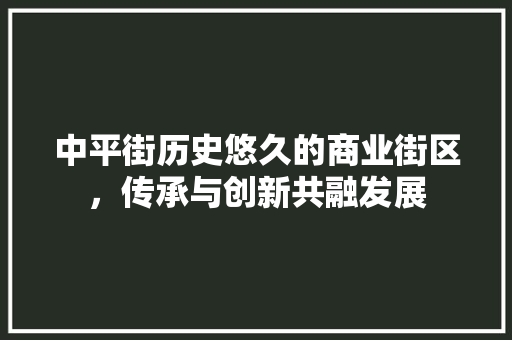 中平街历史悠久的商业街区，传承与创新共融发展