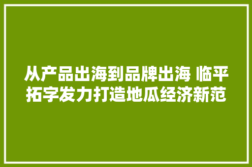 从产品出海到品牌出海 临平拓字发力打造地瓜经济新范式