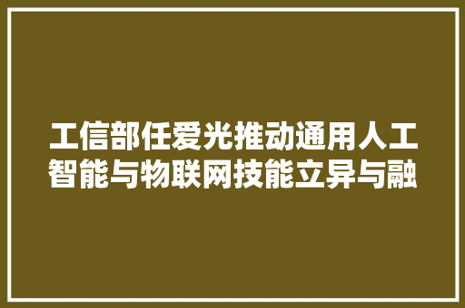 工信部任爱光推动通用人工智能与物联网技能立异与融合成长