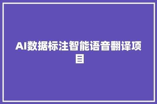 AI数据标注智能语音翻译项目